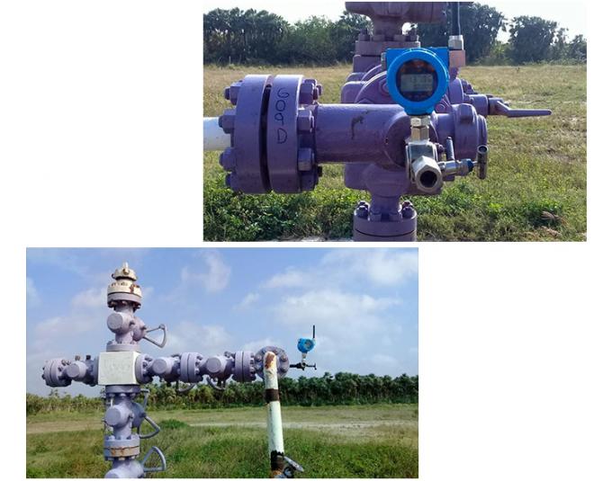 RPT243 Ηλεκτρικός αισθητήρας πίεσης με μπαταρία χαμηλής κατανάλωσης 2